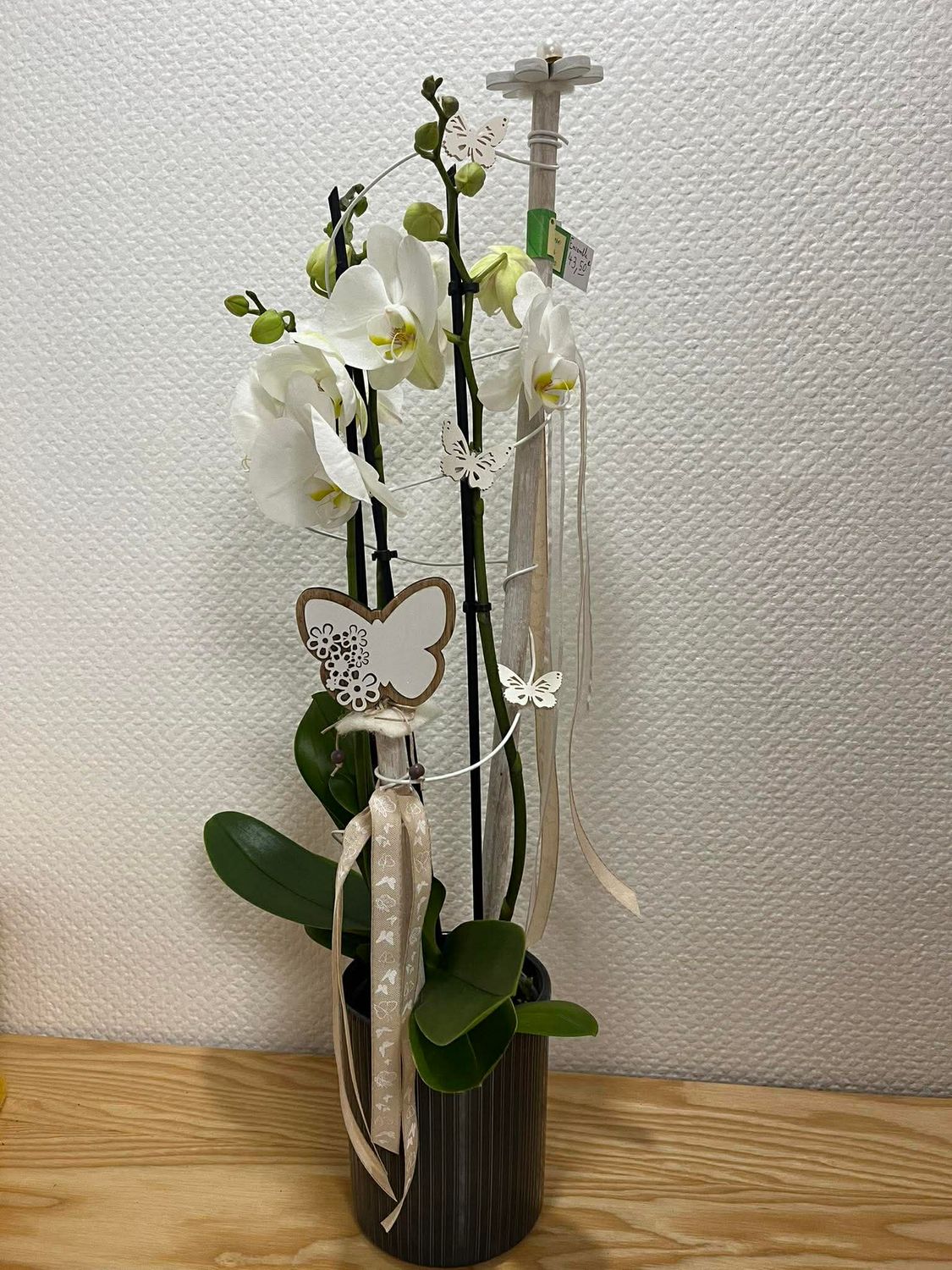 Orchidée blanche décorée