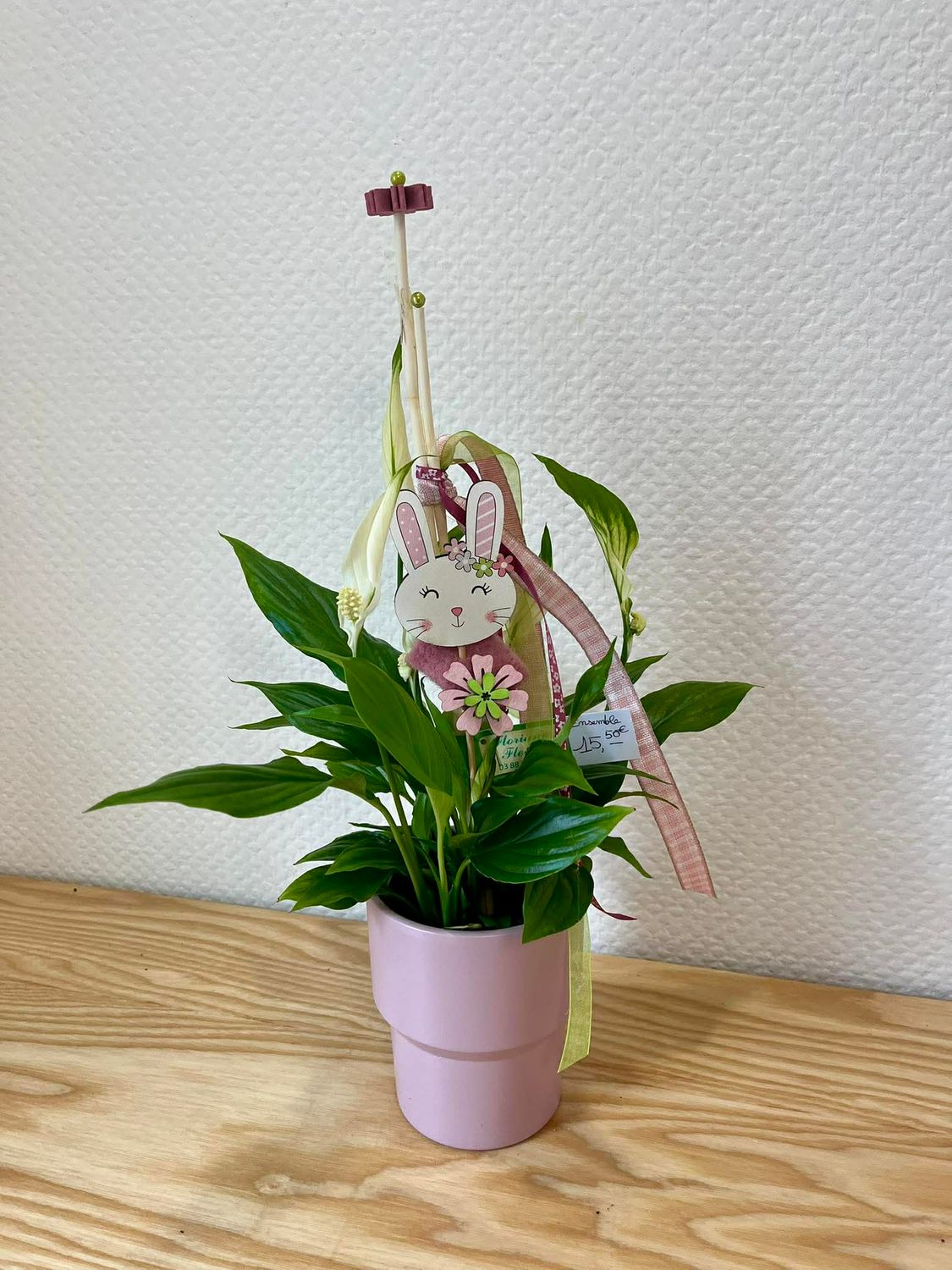 Spathyphillum rose décoré