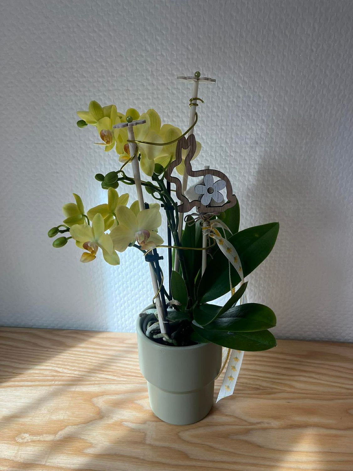 Midi Orchidée jaune décorée