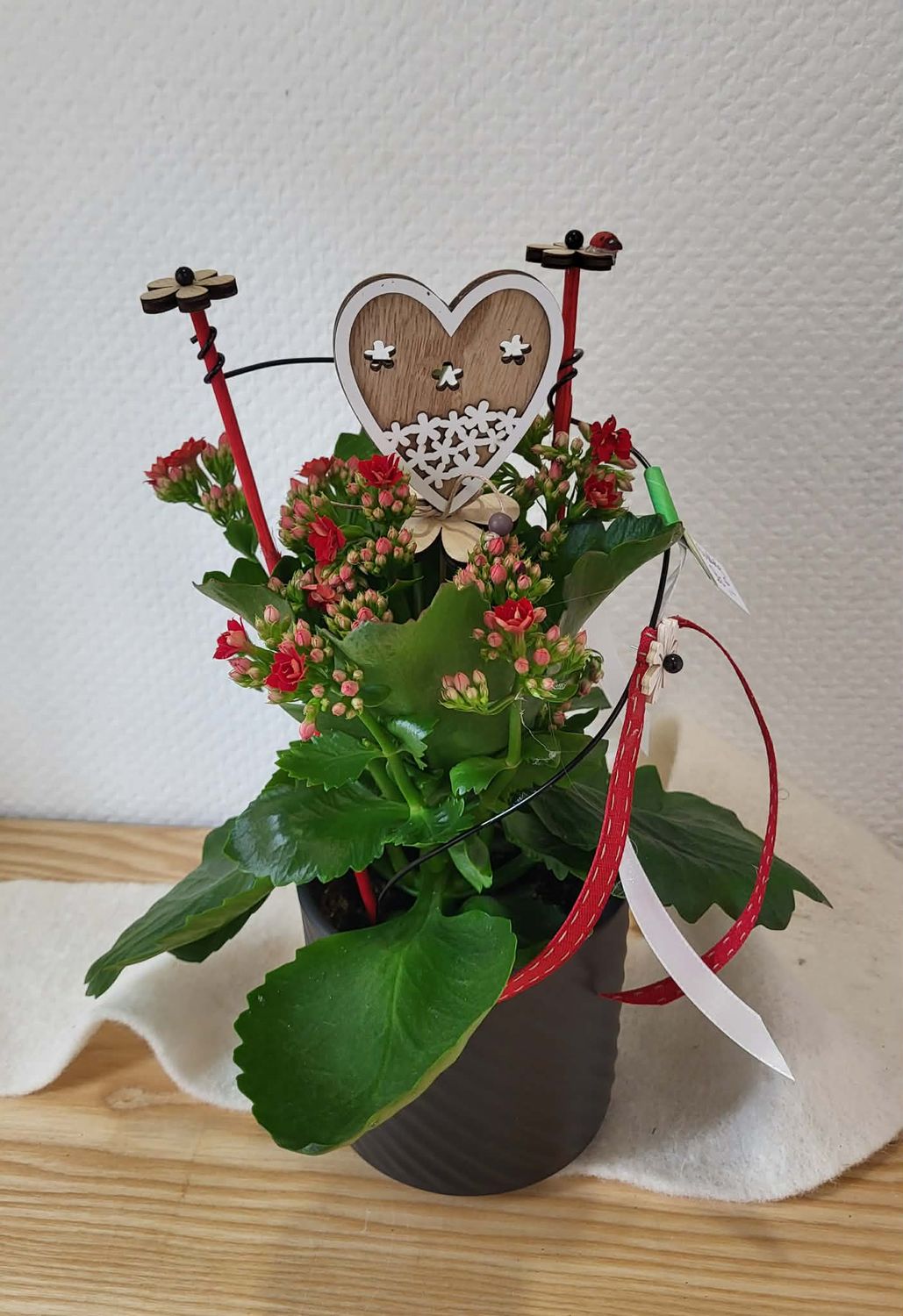 Kalenchoé rouge décoré
