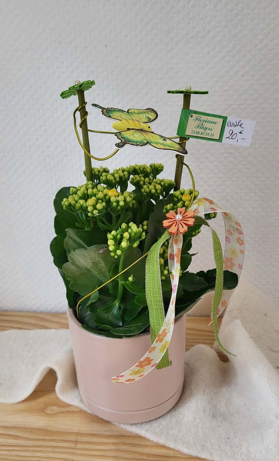 Kalenchoé jaune décoré