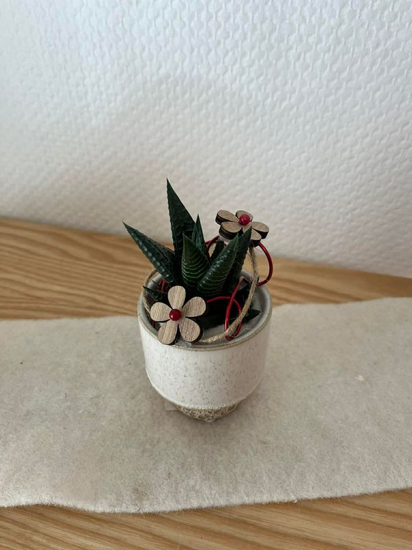 Mini plante grasse décorée