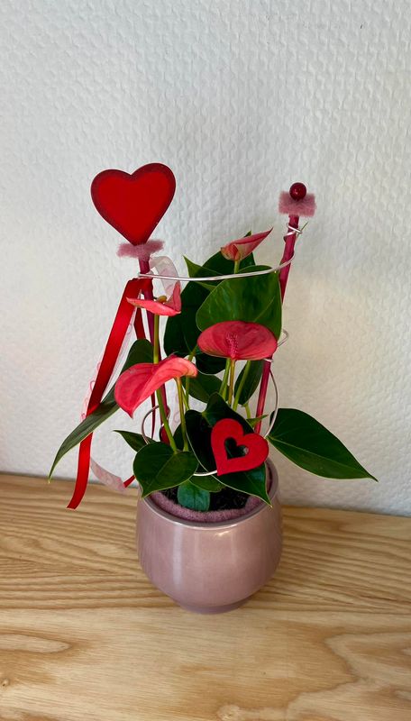Midi Anthurium rose décoré