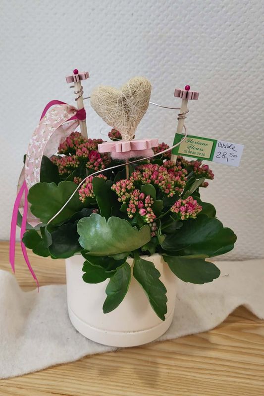 Kalenchoé rose décoré
