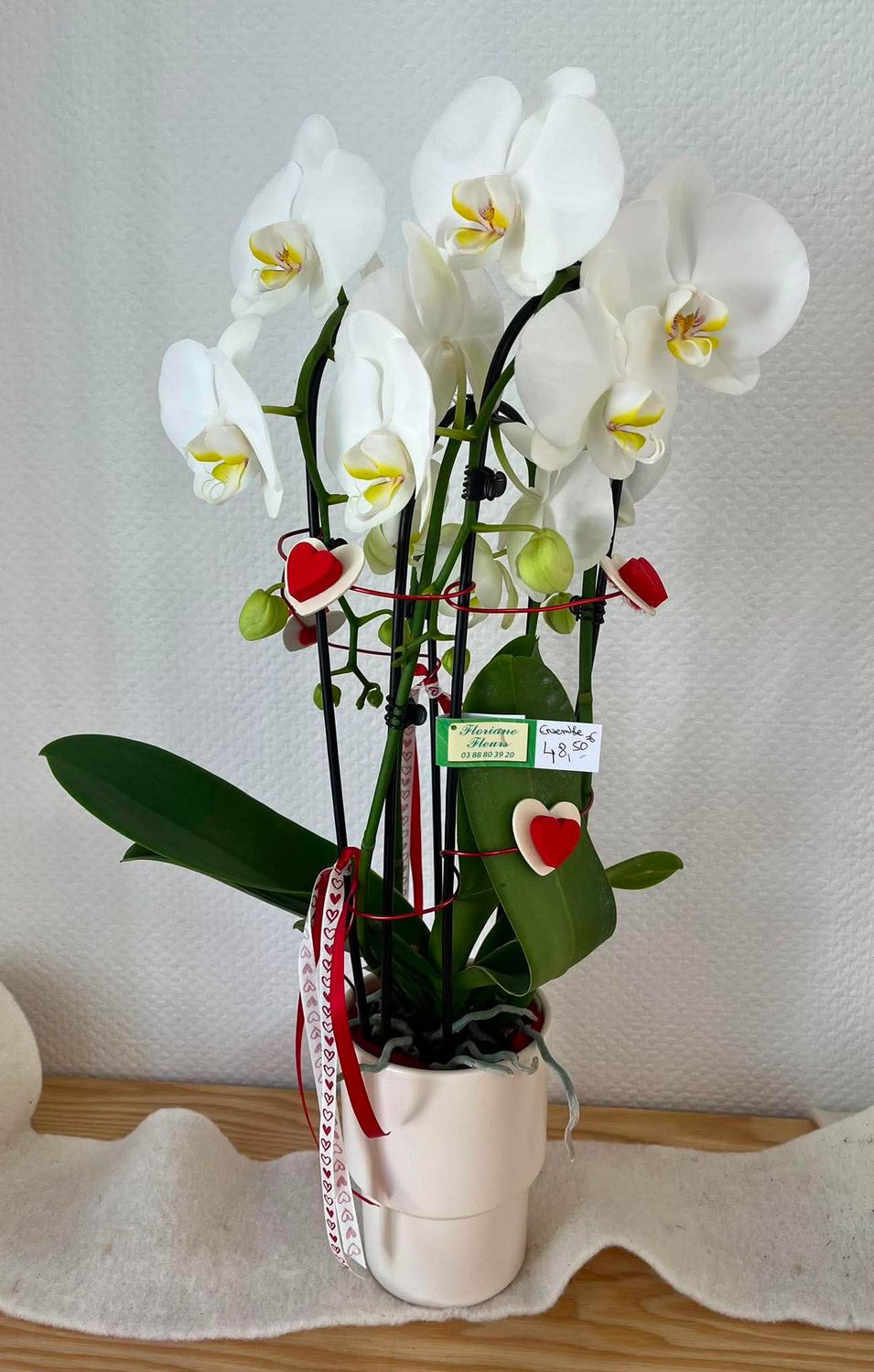 Orchidée blanche décorée