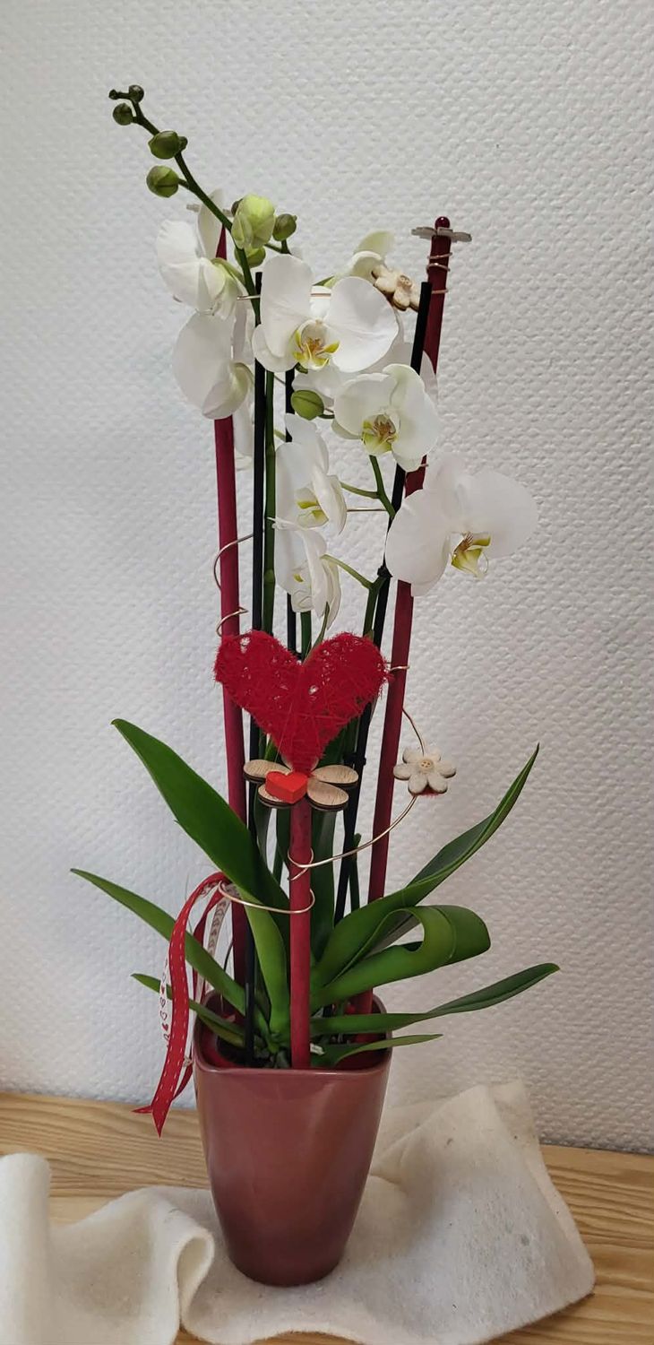 Orchidée blanche décorée