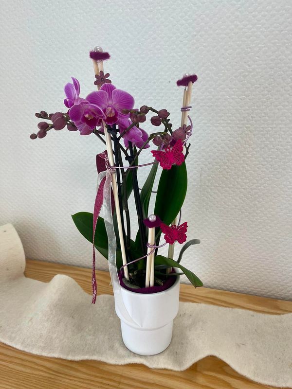 Midi orchidée décorée