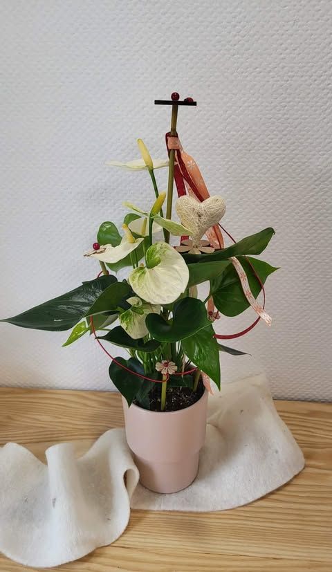 Anthurium blanc décoré