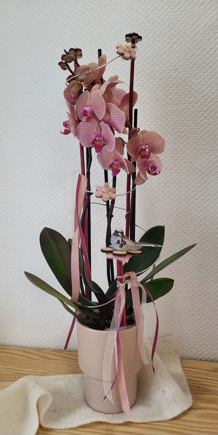 Orchidée décorée