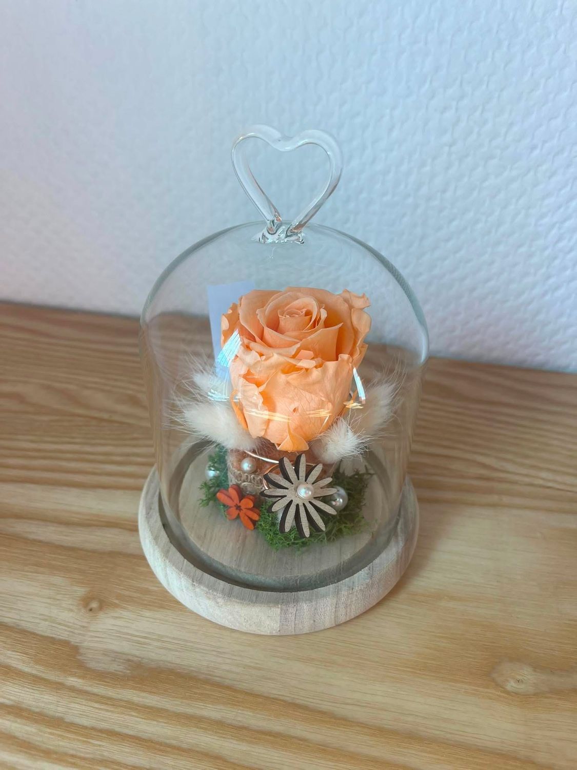 Rose éternelle saumon sous cloche