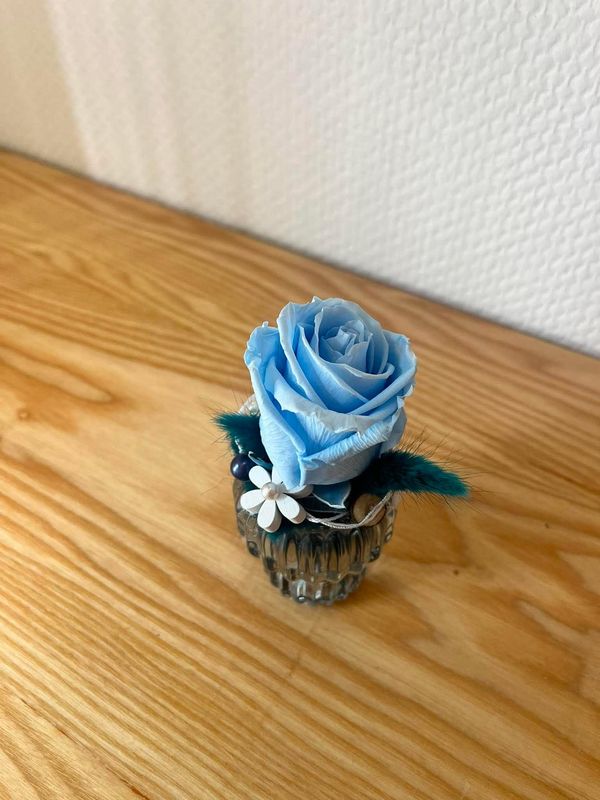 Composition rose eternelle bleu ciel