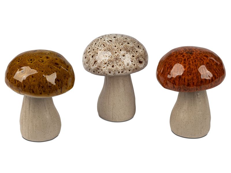 Champignons 13 cm