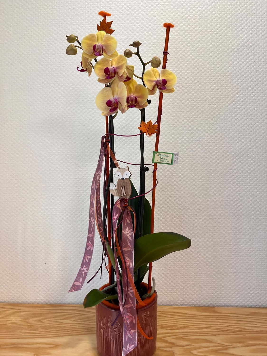 Orchidée décorée