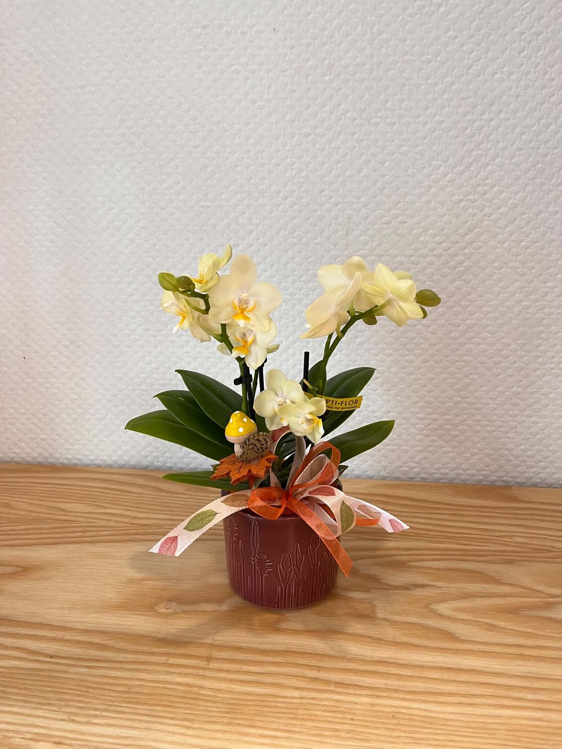 Mini orchidée décorée
