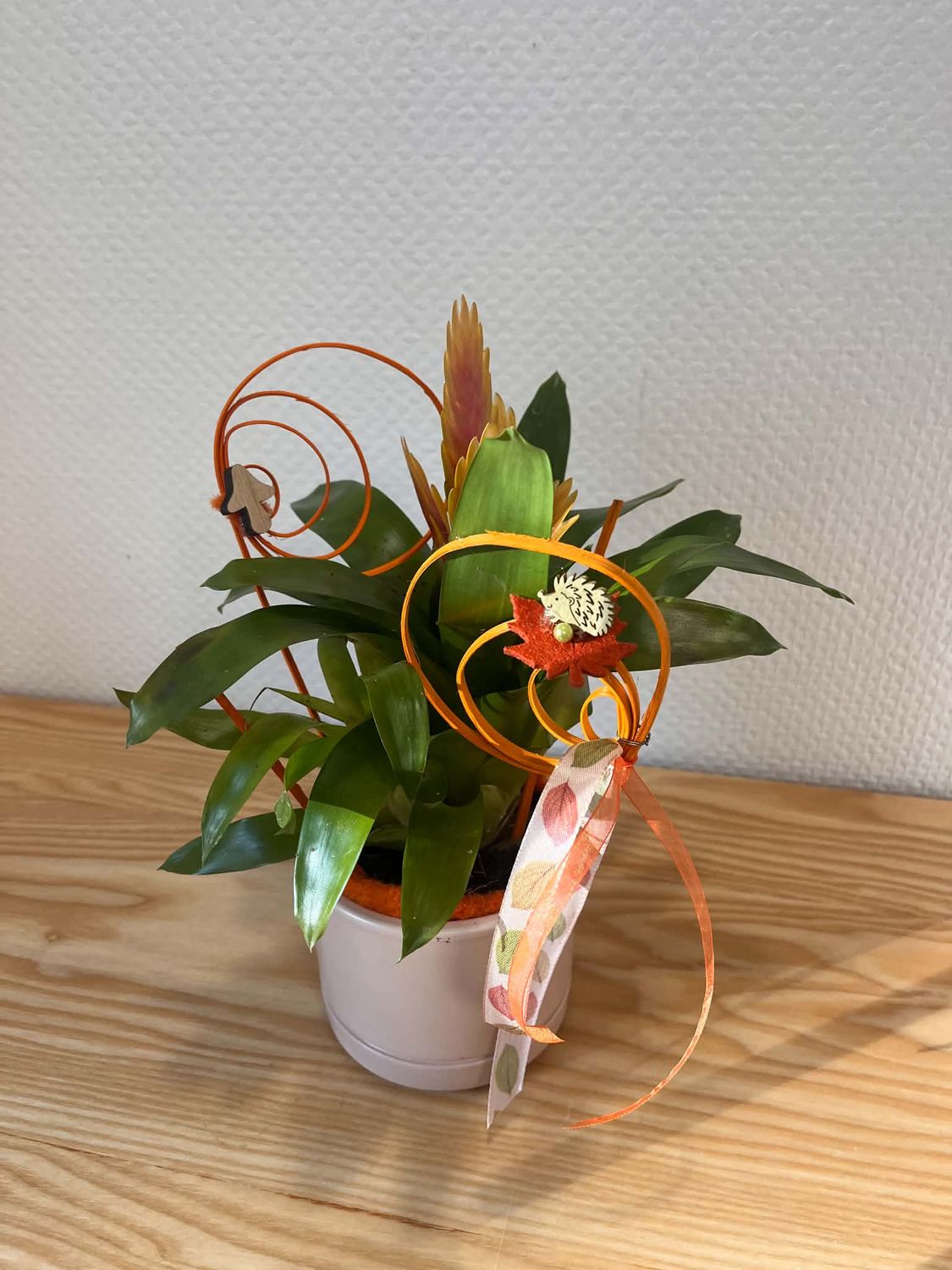 Vriesea décoré