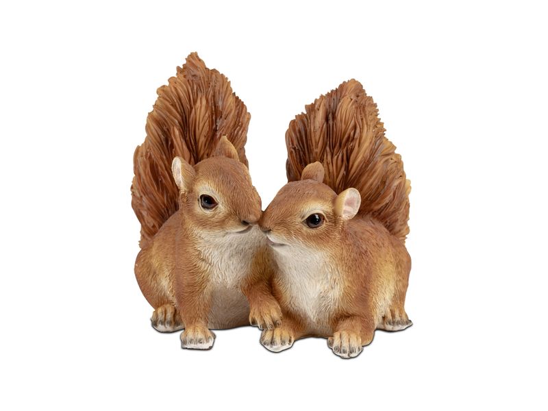 Ecureuil couple
