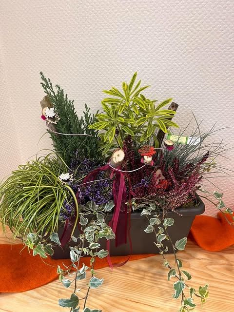 Jardinière plantée