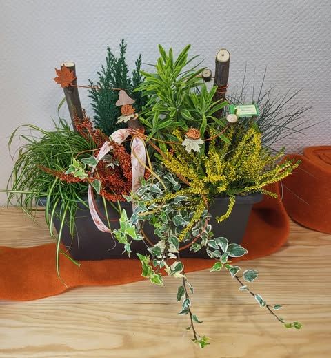 Jardinière plantée
