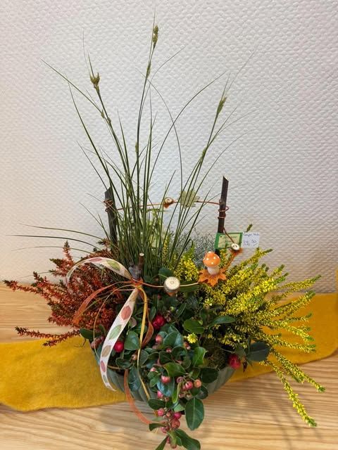Coupe plantée