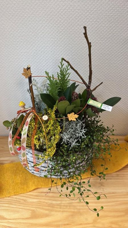 Panier planté