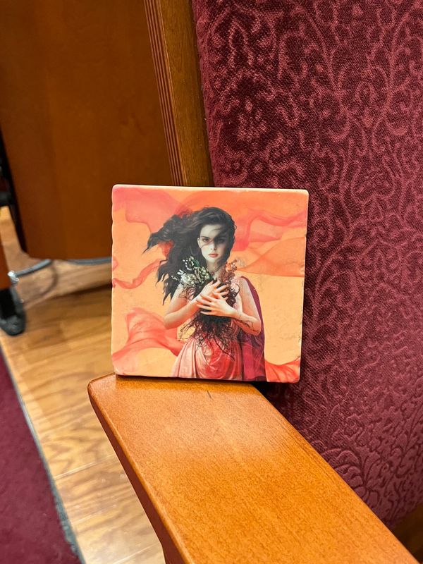 2026 Salome Coaster