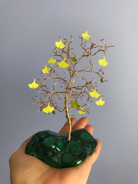 “Ginkgo” “Ginkgo”