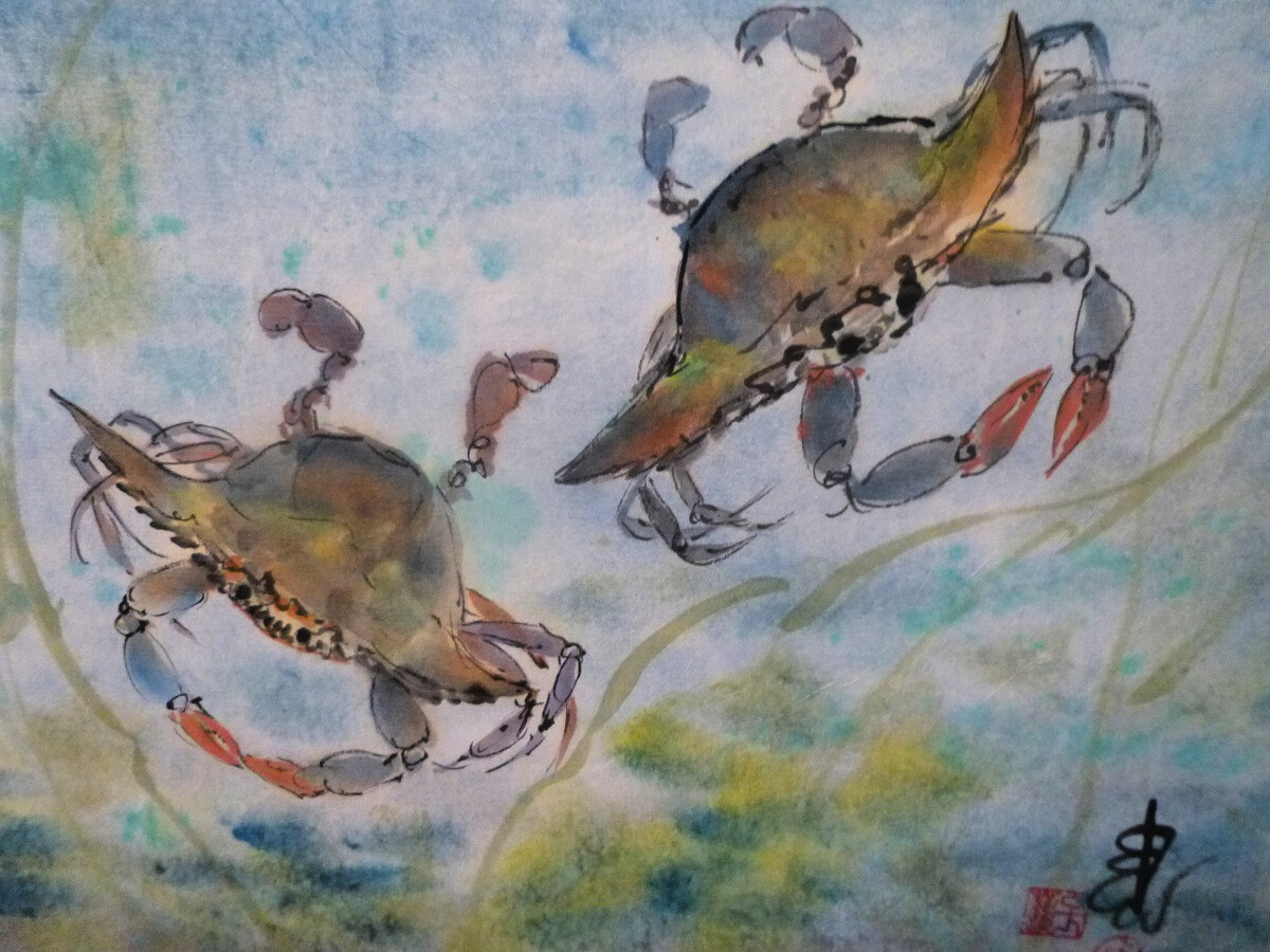 Chessie Crabs Chessie Crabs