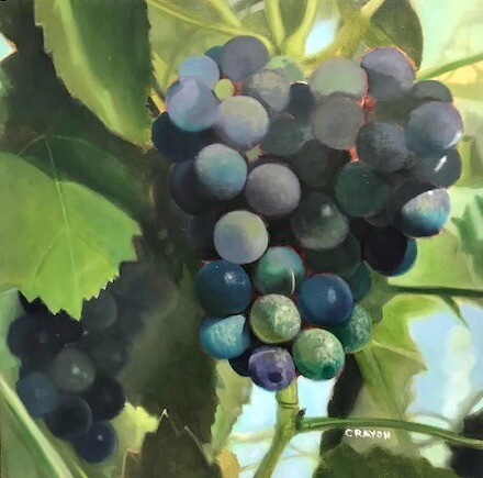 Purple Grapes Purple Grapes
