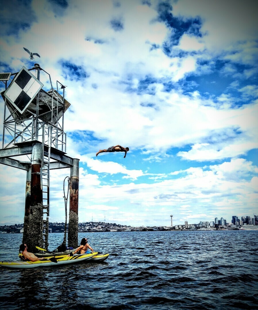 The Dive The Dive