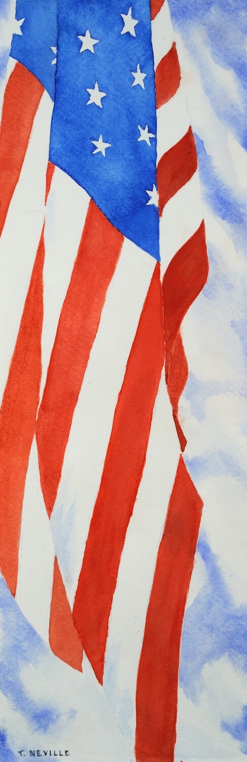 US Flag US Flag