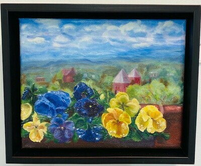 Cindy Donohoe