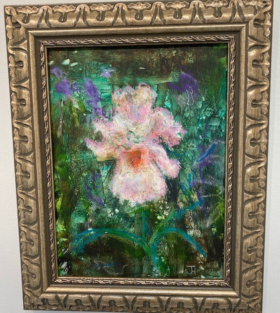 Bearded Iris Pink Attraction 2 Bearded Iris Pink Attraction 2