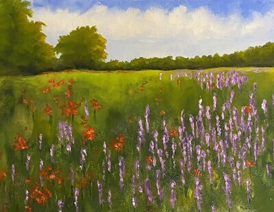 Lupine and Poppy Field