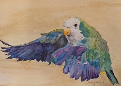 Wings in Watercolor