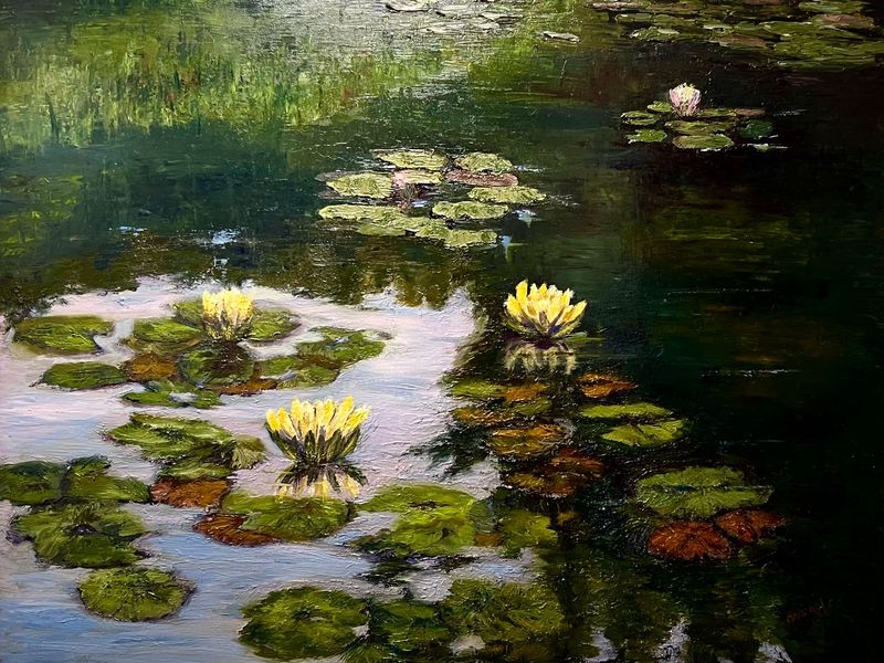 Waterlilies