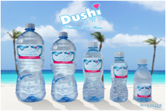 DUSHI AWA Bottled water 24 x 8oz
