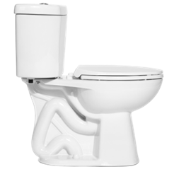 Niagara The Original™ – 0.5/0.95 GPF Dual Flush 12” Elongated Toilet