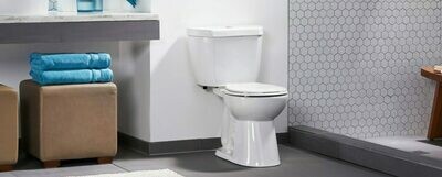 Niagara The Original™ – 0.5/0.95 GPF Dual Flush 12” Round Toilet