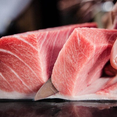 Tuna Loin Saku Bluefin Otoro AAA sushi grade - price by lb