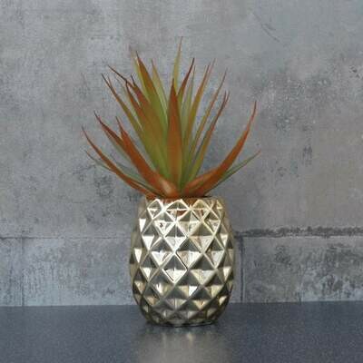 Pineapple pot