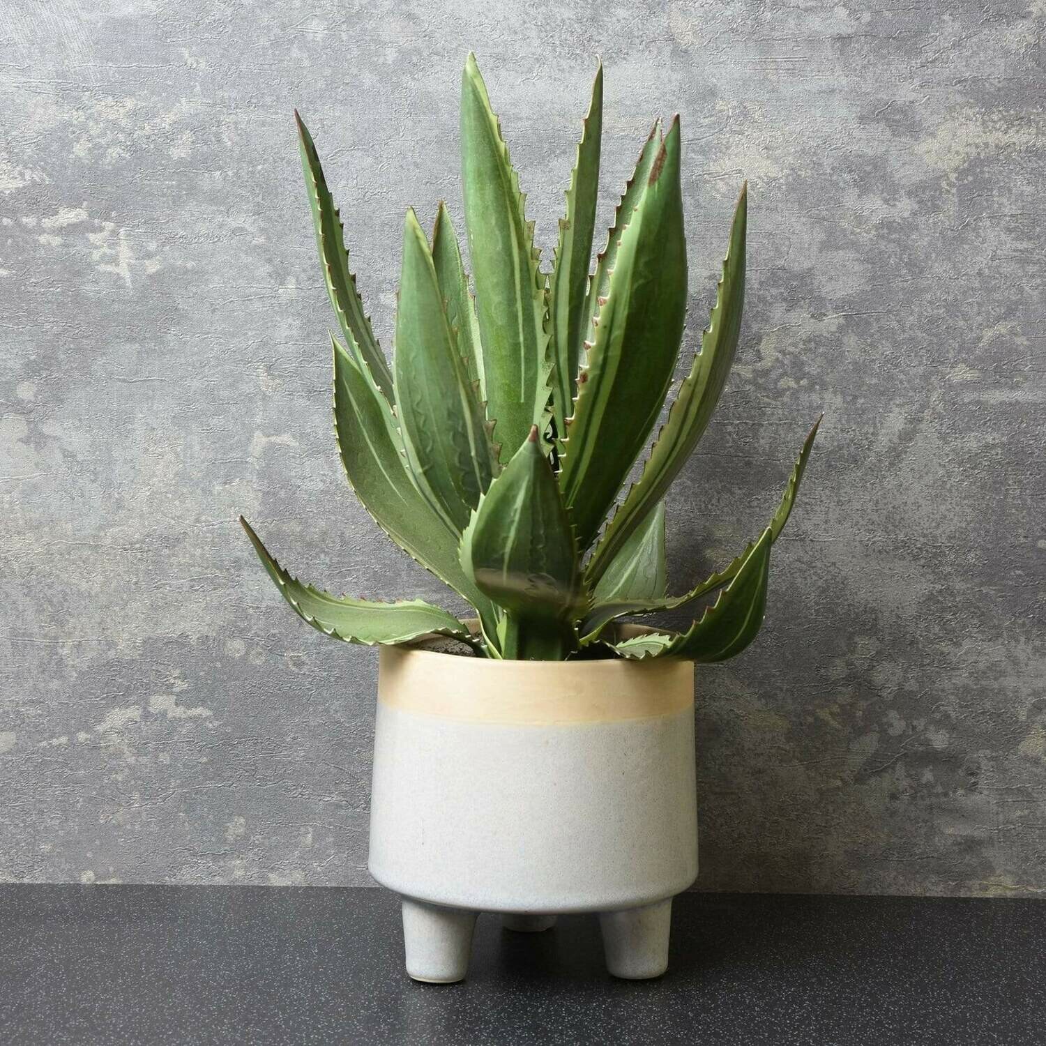 Flower Patch Artificial Aloe Vera Succulent is 36cm, in a White pot.