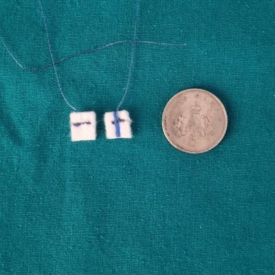 Neurosurgical Patties 5x5mm (1/4" x 1/4")  10 units/sterile strip, 20 strips/box