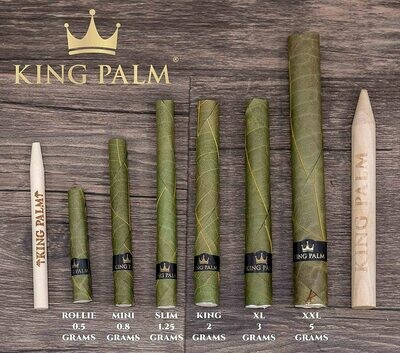 King Palm