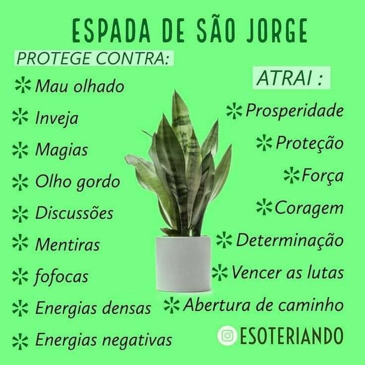 Reiki Fitoterápico etérico