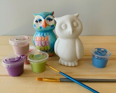 Owl Party Animal