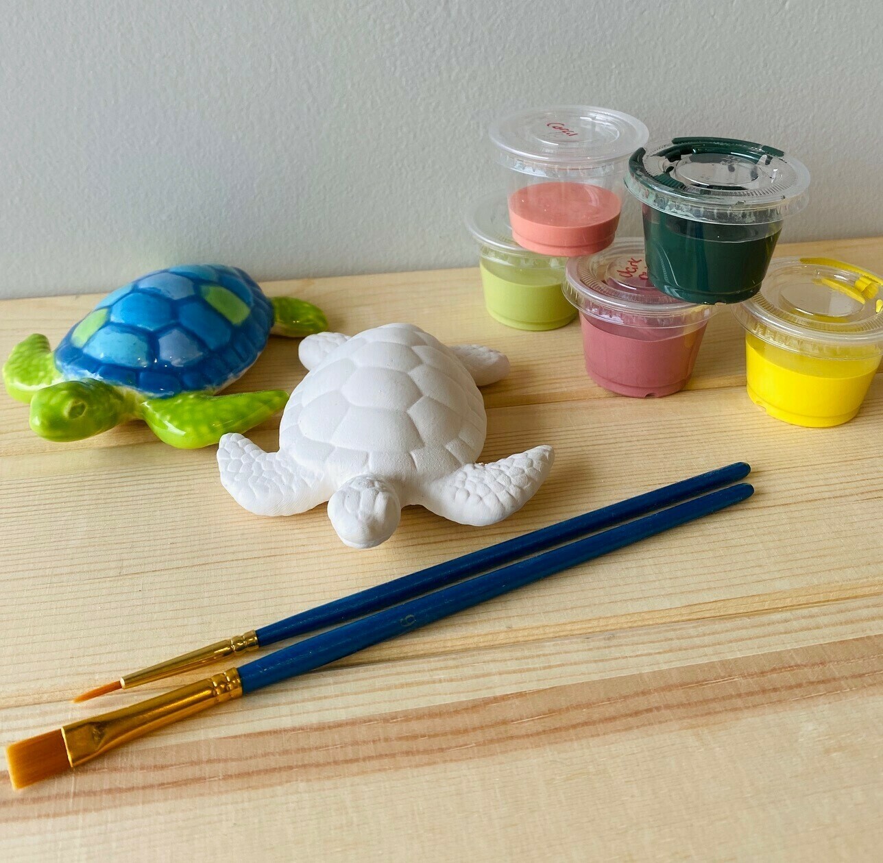 Small Sea Turtle Laying Flat D\C'd