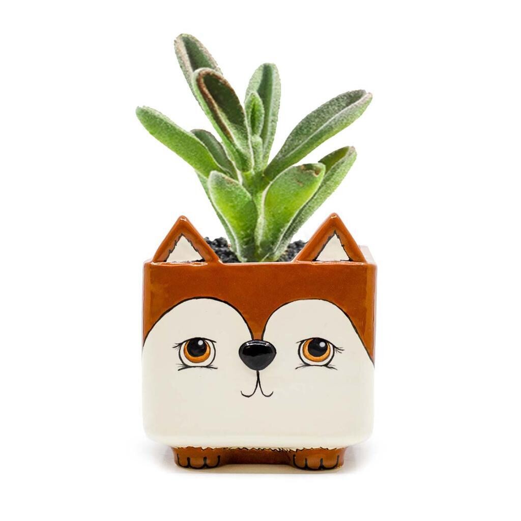 Animal Cat Planter 