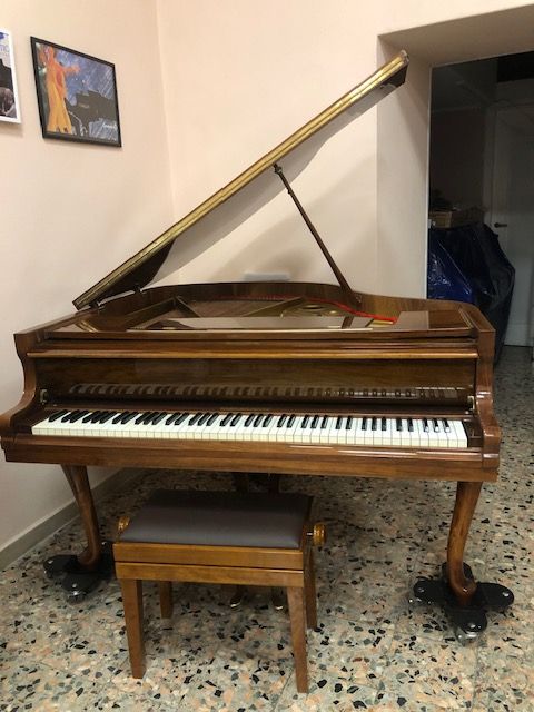 Pianoforte coda Niendorf noce lucido