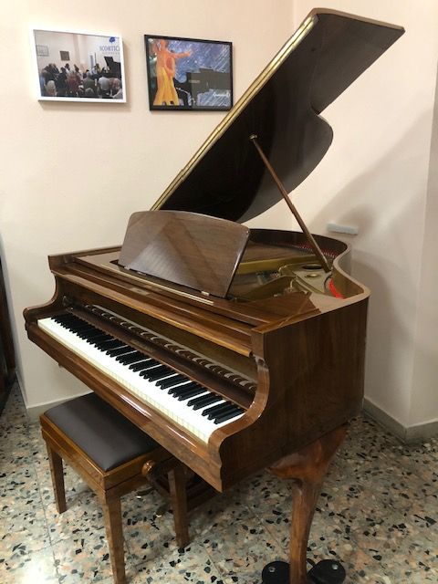 Pianoforte coda Niendorf noce lucido