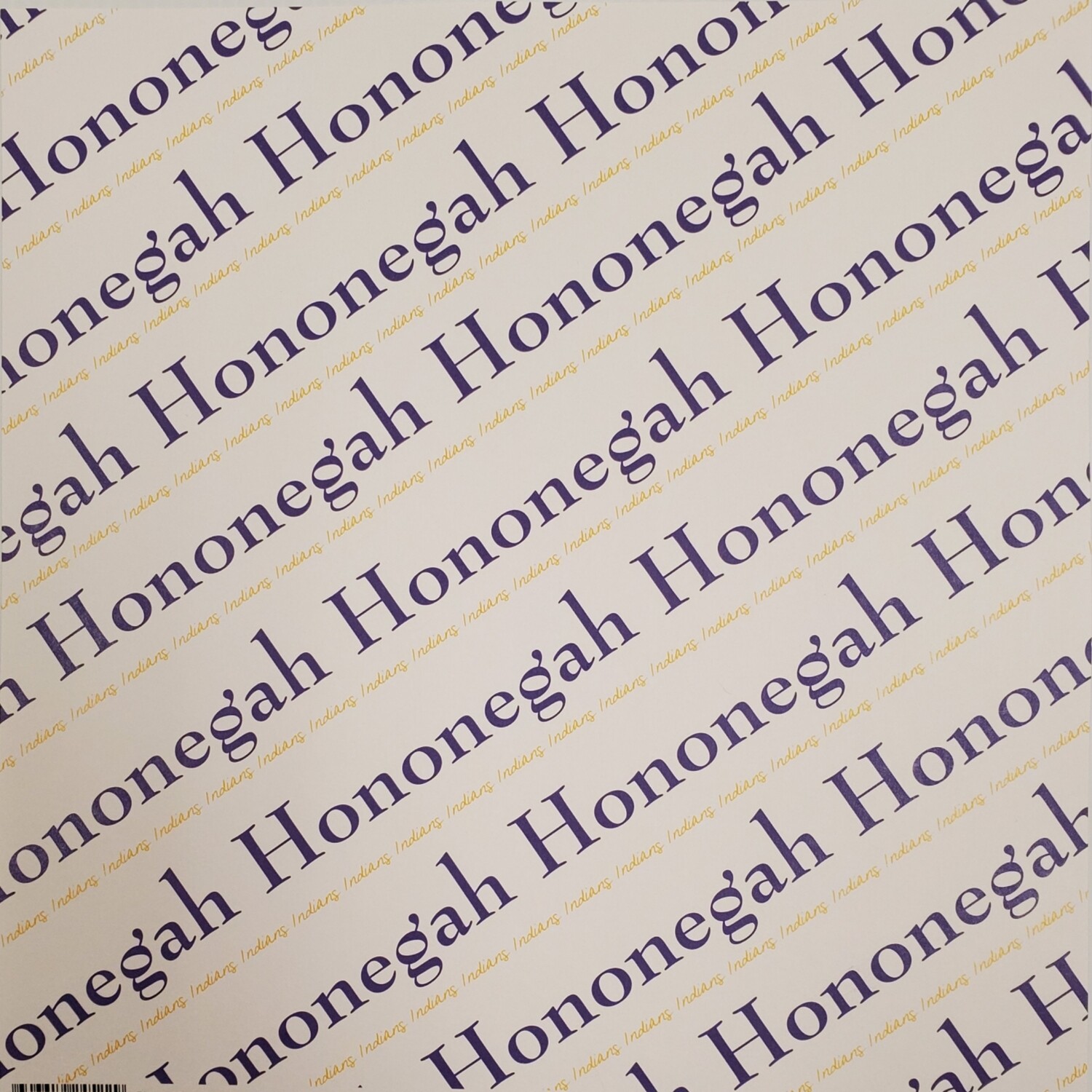 Hononegah Scrapbook Paper, Diagonal Pride, Purple & Gold